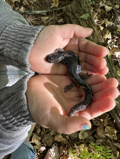 "I see enormous benefits": Private foundation donates $60,000 to Out To Learn program