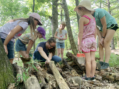 Foley Mountain forever changed thanks to Friends of Foley Mountain